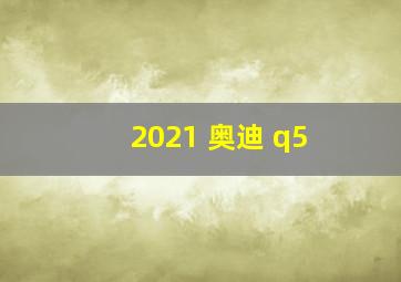 2021 奥迪 q5